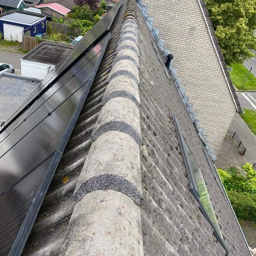 Nokvorsten Nuth hersteld Nokvorsten zijn opnieuw vastgezet